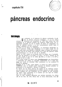 páncreas endocrino