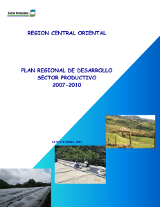 region central oriental plan regional de desarrollo sector