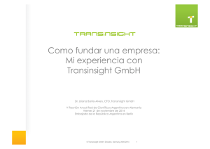 Como fundar una empresa: Mi experiencia con Transinsight GmbH