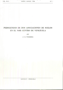 pedogenesis de dos asociaciones de suelos en el nok