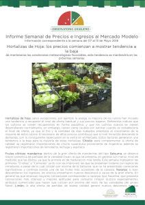 Informe Nro 18 - Mercado Modelo