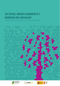 informe: medio ambiente y energía en uruguay