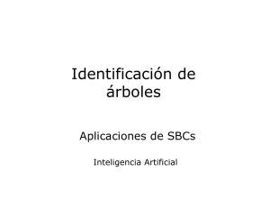 SBC de identificacion de arboles