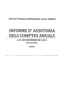 informe d` auditoria dels comptes anuals