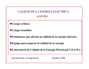 CALIDAD DE LA ENERGIA ELECTRICA Cargas críticas Cargas