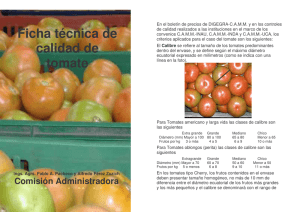 Ficha Técnica de Calidad del Tomate