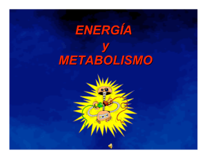 ENERGÍA y METABOLISMO ENERGÍA y METABOLISMO