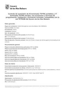 Formalizaciones (PDF de 129KB)