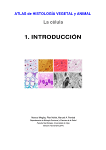 1 . introducción - Atlas de Histología Vegetal y Animal