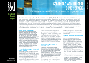 Servicio de seguridad web