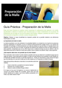 Guía Práctica - Preparación de la Malla