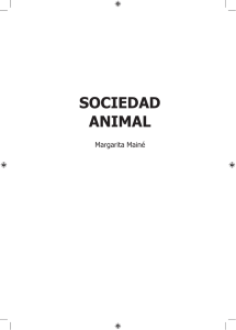 sociedad animal