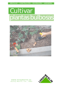 Cultivar plantas bulbosas