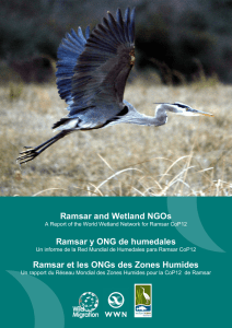 Ramsar and Wetland NGOs Ramsar y ONG de
