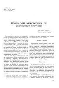 MORFOLOGIA MICROSCOPICA ONCHOCERCA VOLVULUS