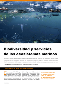 Biodiversidad y servicios de los ecosistemas marinos