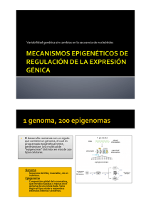 Mecanismos epigenéticos de regulación de la expresión génica.pptx