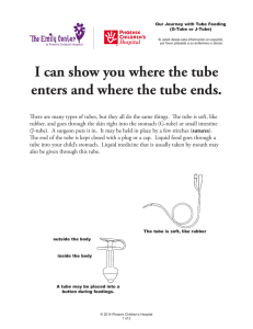 I can show you where the tube enters and where the tube ends.