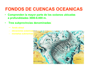 FONDOS DE CUENCAS OCEANICAS