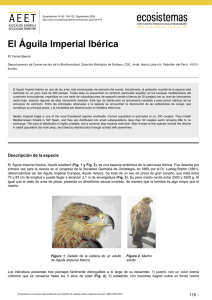 El Águila Imperial Ibérica