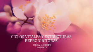ciclos vitales y estructuras reproductoras capitulo 6