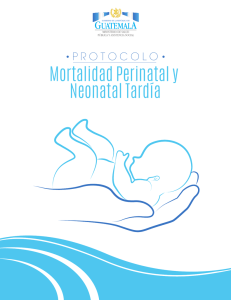 Protocolo Mortalidad Perinatal