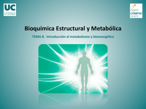 TEMA 8. Introducción al metabolismo