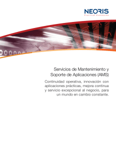 Servicios de Mantenimiento y Soporte de Aplicaciones (AMS)