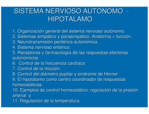 sistema nervioso autonomo - hipotalamo
