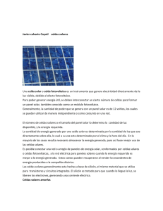 Javier calvario Coyotl celdas solares