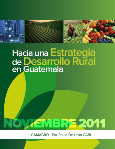 Hacia una Estrategia de Desarrollo Rural en Guatemala
