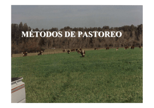 Métodos de Pastoreo