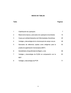 INDICE DE TABLAS Tabla Paginas 1 Clasificación de Leptospira 7