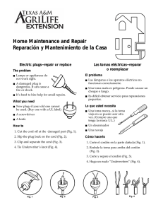 Home Maintenance and Repair: Electric plugs