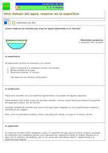 Vivir debajo del agua, respirar en la superficie