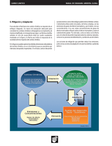 6. Mitigación y Adaptación