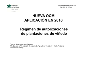 NUEVA OCM APLICACIÓN EN 2016 Régimen de autorizaciones de