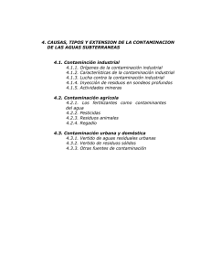 4. CAUSAS, TIPOS Y EXTENSION DE LA CONTAMINACION