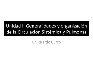Generalidades y organización de la Circulación Sistémica y Pulmonar
