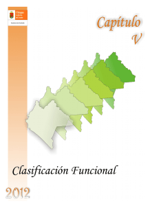 V.- Clasificación Funcional