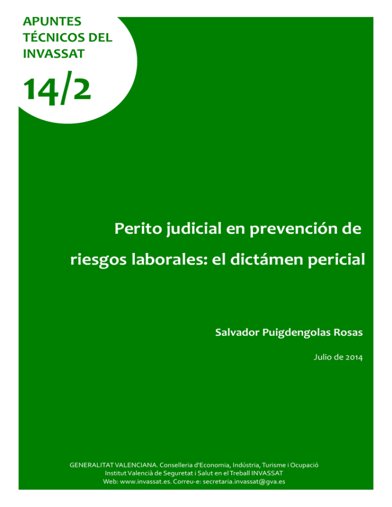 Perito Judicial En Prevención De Riesgos Laborales El Dictámen Pericial