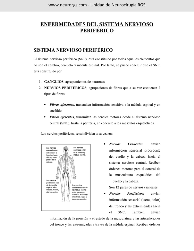 Enfermedades Del Sistema Nervioso Periférico