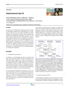 Galactosemia tipo III - Universidad Pablo de Olavide, de Sevilla