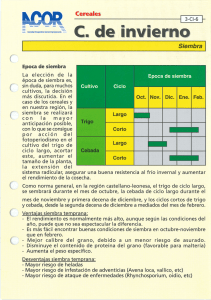 Siembra Epoca de siembra La elección de la época de siembra es