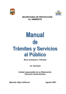 Manual de tramites y servicios al publico SPA