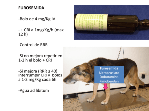FUROSEMIDA -Bolo de 4 mg/Kg IV - + CRI a 1mg/Kg/h (max 12 h