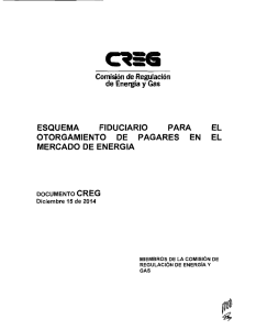 S-N-14 PAGARES EN EL MERCADO DE ENERGÍA