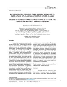 diferenciación celular en el sistema nervioso, el caso de las células
