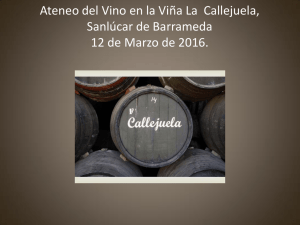 Ateneo del Vino en la Viña La Callejuela, Sanlucar de Barrameda