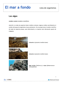 lista organismos algas